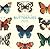 The Little Guide to Butterflies by Tom Frost