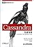 Cassandra: The Definitive Guide (Chinese Edition)