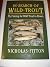 In Search of Wild Trout: Fl...