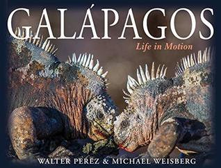 Galápagos: Life in Motion (Kindle Edition)