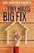 Tiny House, Big Fix