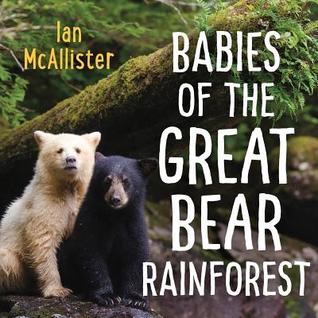 Babies of the Great Bear Rainforest (Board Book)