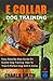 E Collar Dog Training: Easy...