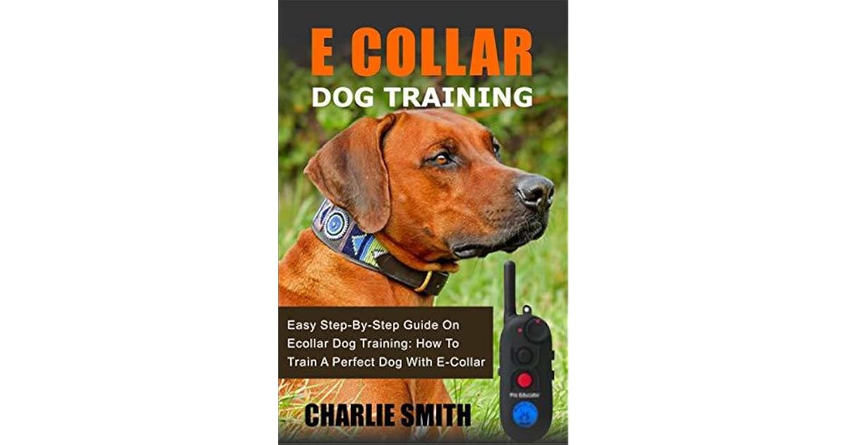 e collar training guide