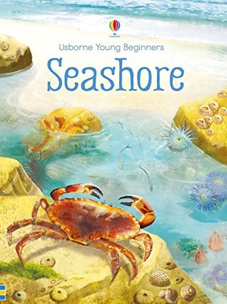 Seashore (Hardcover)