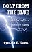 Bolt from the Blue (Silver and Simm Victorian Mysteries Book 7) by Cynthia E. Hurst
