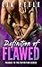 Definition of Flawed