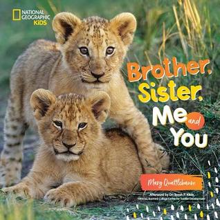 Brother, Sister, Me and You (Hardcover)