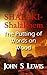 Shalaki-Shalakhem and the Putting of Words on Wood (The Worlds of John S. Lewis)
