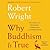 Why Buddhism Is True: The Science and Philosophy of Meditation and Enlightenment