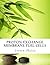 Proton Exchange Membrane Fu...