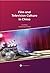 Film and Television Culture in China