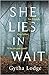 She Lies in Wait by Gytha Lodge