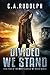 Divided We Stand: Book Four...