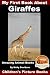 My First Book about Giraffes - Amazing Animal Books - Children's Picture Books
