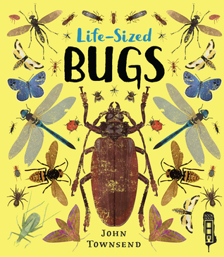 Life-Sized Bugs (Hardcover)