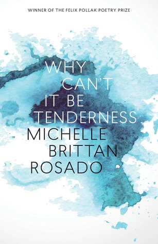 Why Can't It Be Tenderness (Wisconsin Poetry Series)