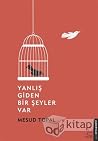 Yanlış Giden Bir Şeyler Var Yanlış Giden Bir Şeyler Var