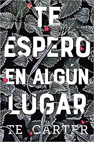 Portada de Te espero en algún lugar, de T.E. Carter