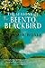The Seasons Of Beento Blackbird