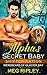Alpha's Secret Baby (Shifte...