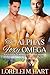 The Alpha's Foxy Omega (Couples of Haven #2)