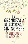 La grandeza de las cosas sin nombre by Enrique Arce