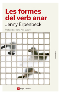 Les formes del verb anar
