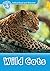 Wild Cats (Oxford Read and Discover Level 1)