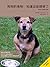 Dog Foods: Everything you n...