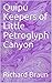Quipu Keepers of Little Petroglyph Canyon