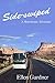 Side-swiped: A Motorhome Adventure