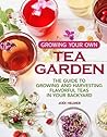 Growing Your Own Tea Garden by Jodi Helmer