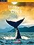 MOBY DICK (Kalafat) (Catalan Edition)