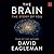 The Brain by David Eagleman