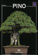 Pino (Paperback)