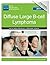 Diffuse Large B-cell Lymphoma