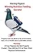 Racing Pigeon Winning Nutri...