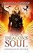 Into a Dragon's Soul (Chronicles of the Four #3)