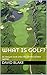 What is golf?: A casual loo...