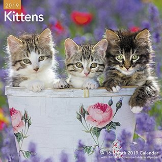Kittens Wall Calendar (2019)
