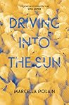 Driving into the Sun by Marcella Polain
