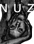 NUZ 02 by Tsuyoshi Takezawa NUZ 02 by Tsuyoshi Takezawa
