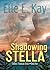 Shadowing Stella (Endless Mountain #1)