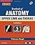 Textbook of Anatomy Upper Limb and Thorax; Volume 1