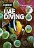 UAE Diving