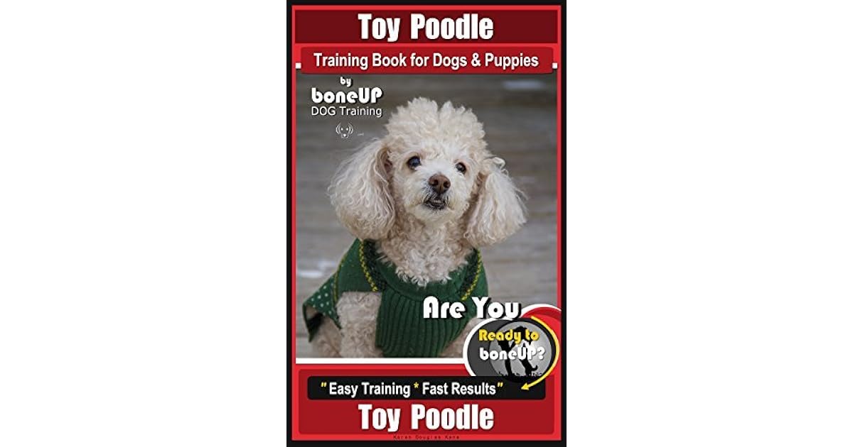 toy poodle training