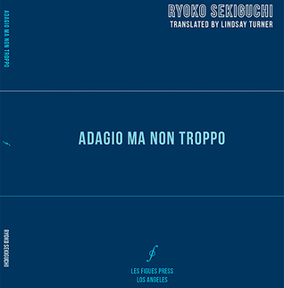 adagio ma non troppo (Global Poetics, 6)