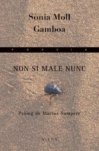Non si male nunc (Paperback)