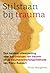 Stilstaan bij trauma: Een heldere uiteenzetting over het ontstaan van trauma en de traumaverwerkingsmethode van Franz Ruppert